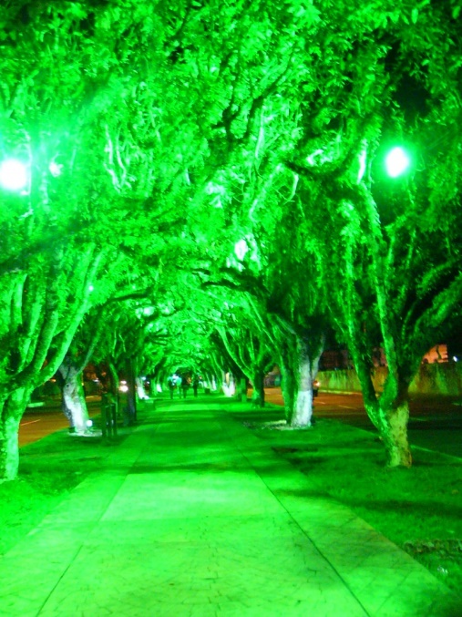 erros de iluminação em paisagismo